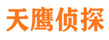 通海市侦探调查公司